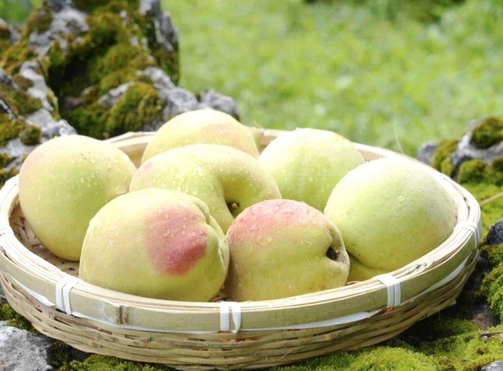 yaooooo-y视频 视频如果你有其他问题