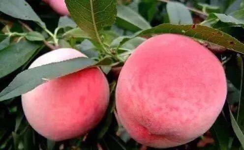 kuzu夜景中的 如果您能提供更多细节