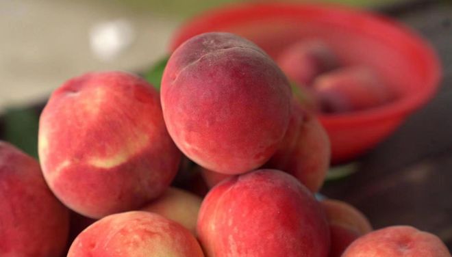 你懂的网站推荐几个