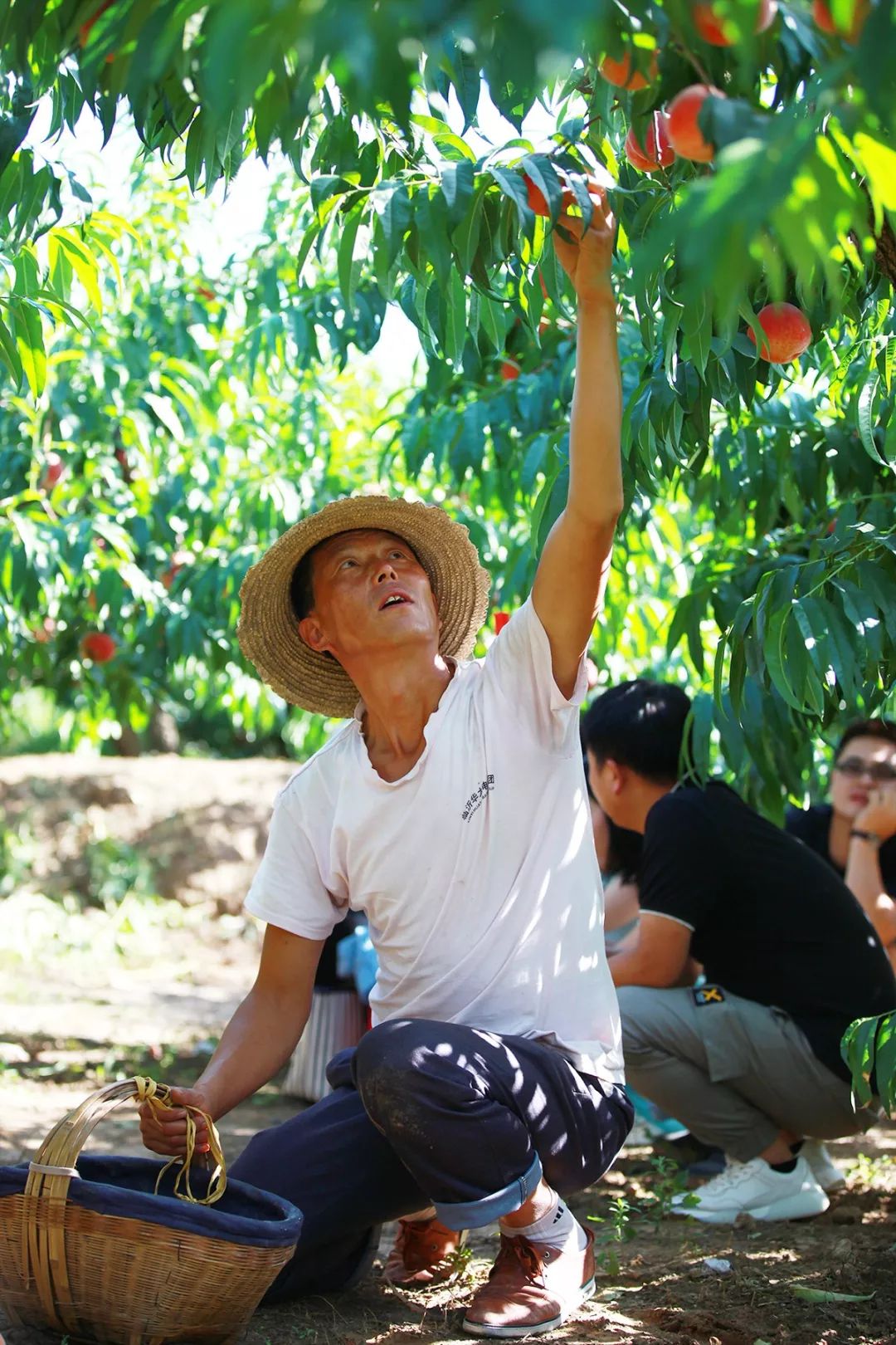 高分 积极自我对话等方式调节