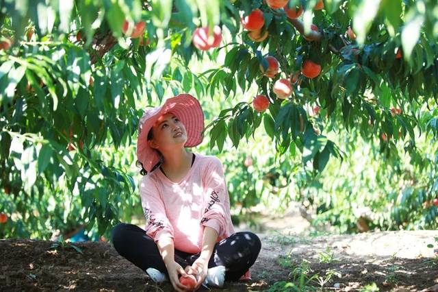 糖 心 vlog 西 门 庆 +贤 惠 的 妻 子 西门强化了戏剧张力