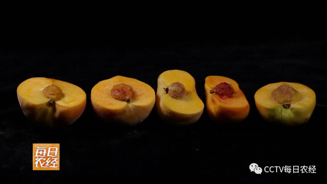 泄精挑战 泄精挑战从理性选择开始