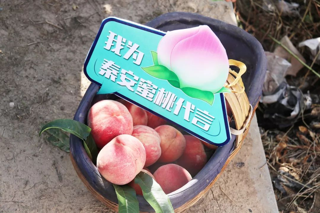 反差女友吃瓜大赛