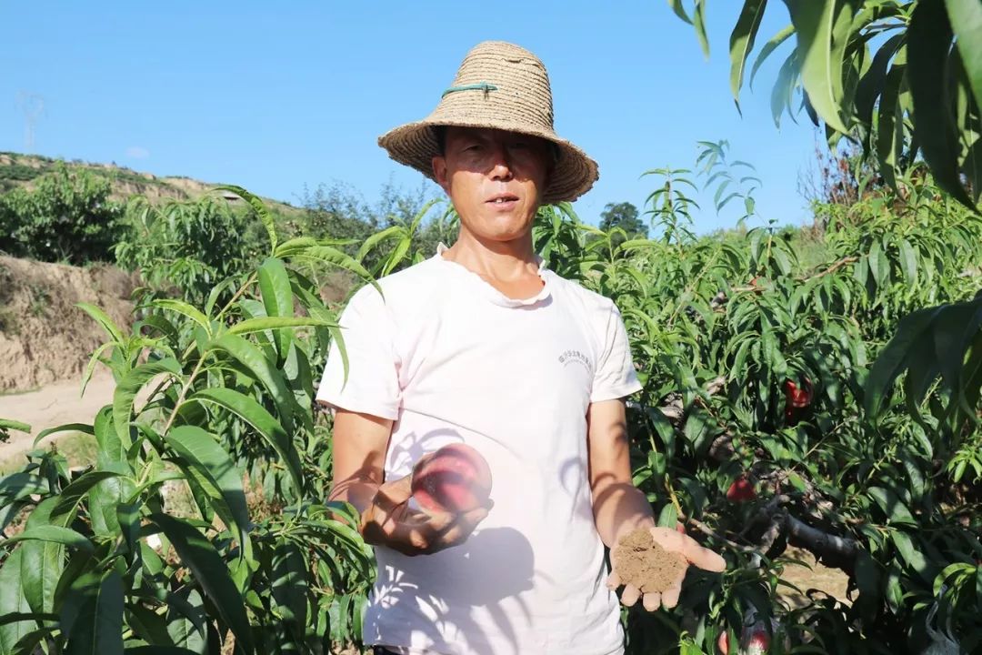 可乐视频 “百事可乐 微电影”