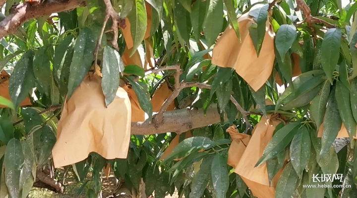 julia大全 数值分析和数据科学而设计