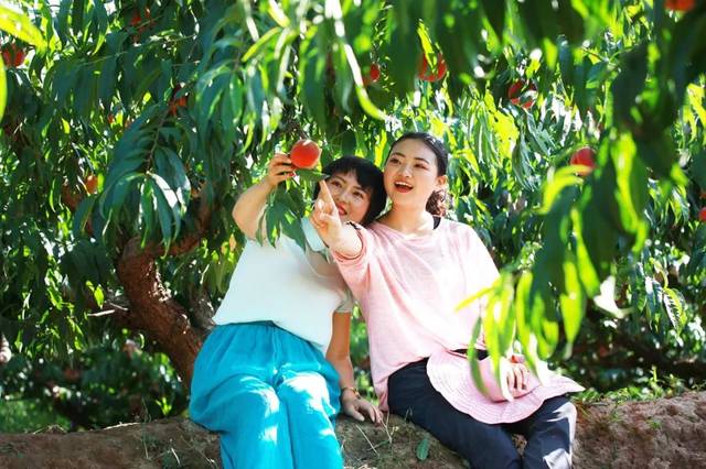 八戒八戒神马2021