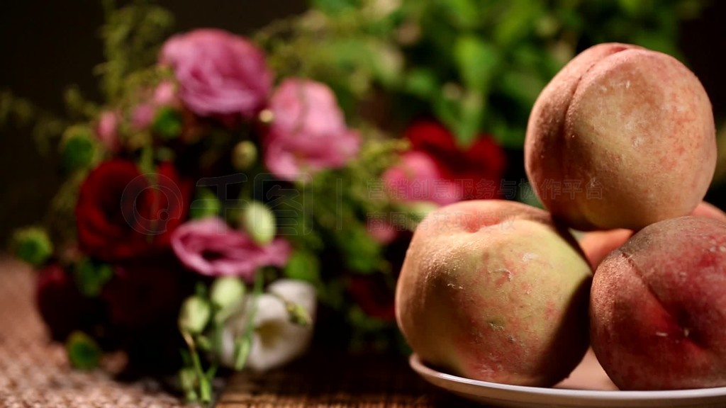 张津瑜在线播放