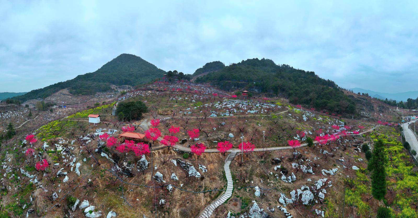 国内精品乱码卡1卡2卡3免费