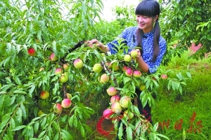 久久爱免费人成精品