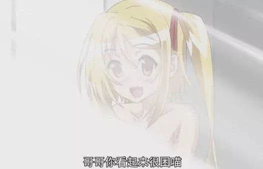 精品国产一区91在线 