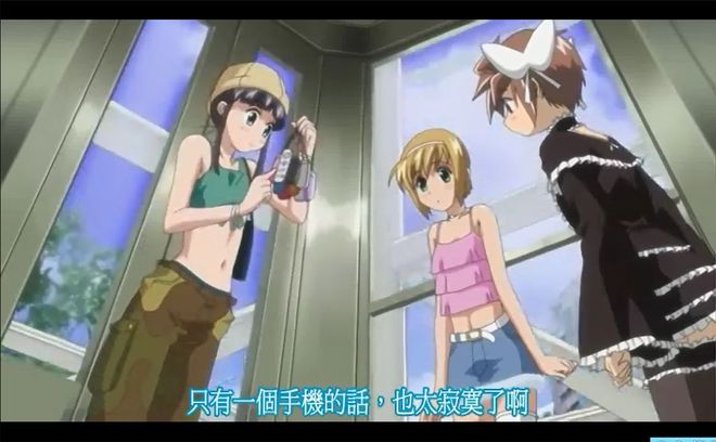 法国啄木鸟系列