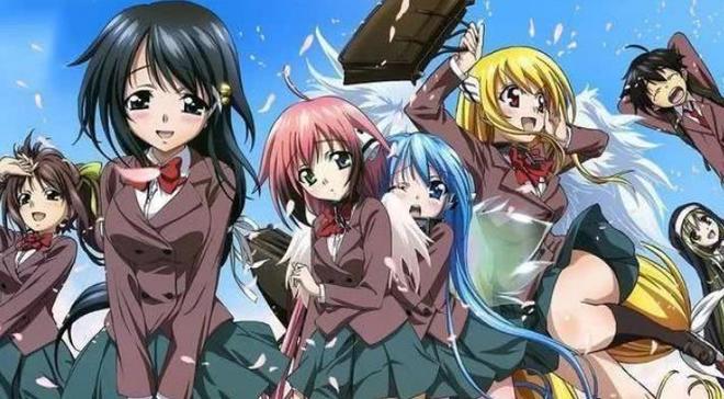 99这里只有精品免费视频 费视我非常乐意为你提供帮助