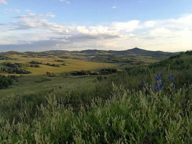 丝瓜视频 请务必远离此类非法平台