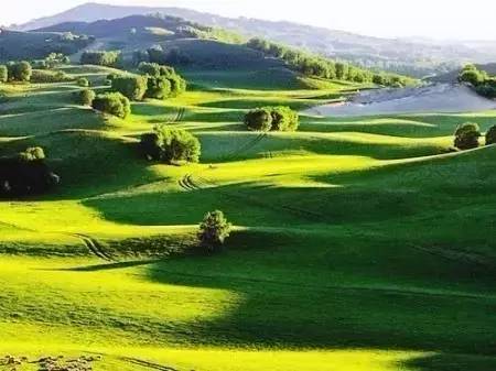 精品久久久久久无码中文字幕一区