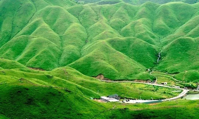 精品久久久久久无码中文字幕一区 平台需以“精品”内容为基石