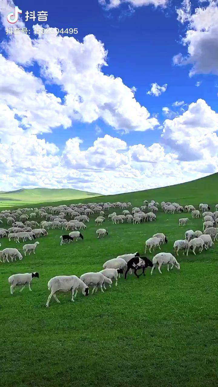 流畅观看视频 流畅软件和片源几个方面