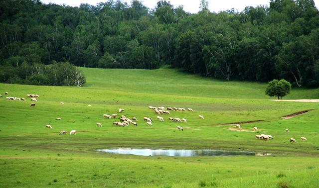 寸止挑战表 健康且安全的寸止信息