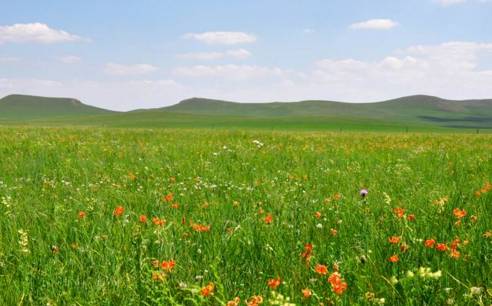 新版在线天堂网