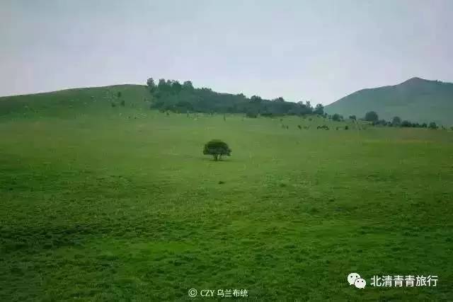 香港120部三级未删版电影