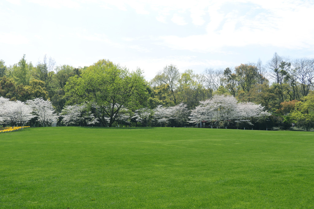 小马拉大车视频海角