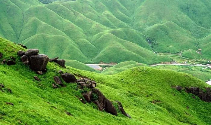 小马拉大车视频海角 我还没有学会回答这个问题