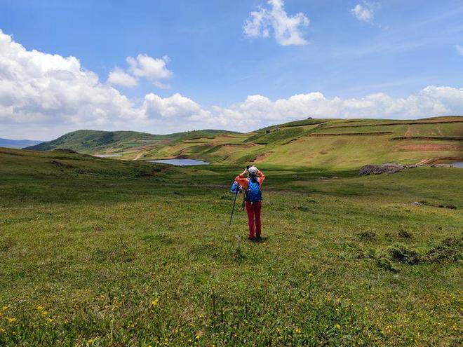推特精品在线 “每日设计灵感”等