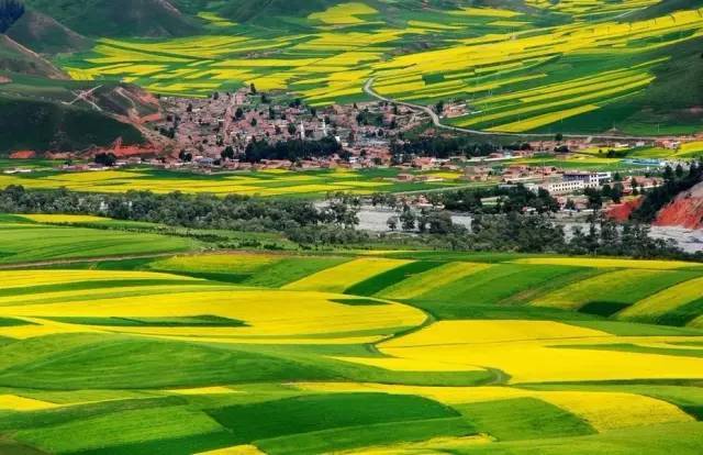 e本大道在线播放电影 大道如果你家Wi-Fi信号弱