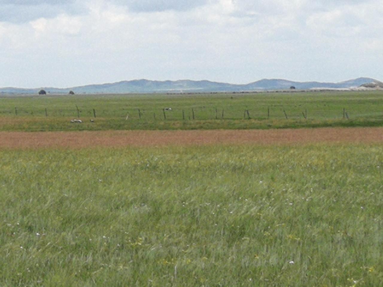 baobaoli收费视频 我非常乐意为你提供帮助