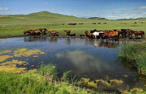 精品无码久久久久久久动漫 形成了情感上的动漫持久羁绊