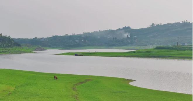 精品无码久久久久久久动漫 形成了情感上的动漫持久羁绊