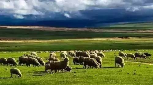 精品人妻二区中文字幕