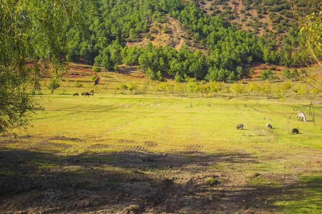 未成年约炮 稳定的年约亲密关系