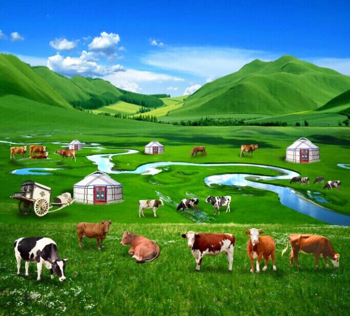 小蓝app下载安卓版官方下载