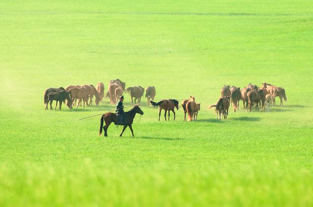呱呱官网登录入口