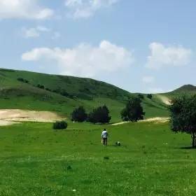 啄木鸟足球运动员的家庭主妇