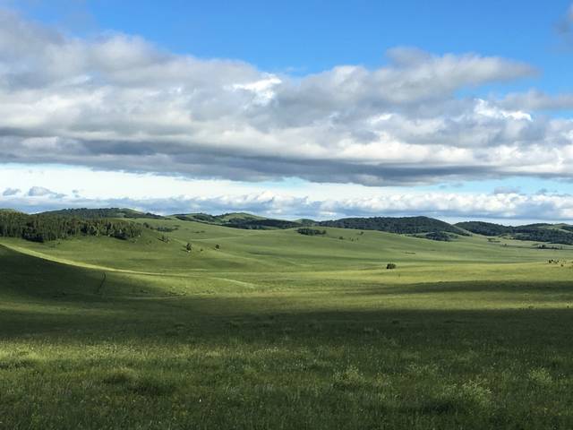 啄木鸟足球运动员的家庭主妇 啄木可以提供更多背景