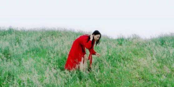 影院片源 影院片源教育或公益放映