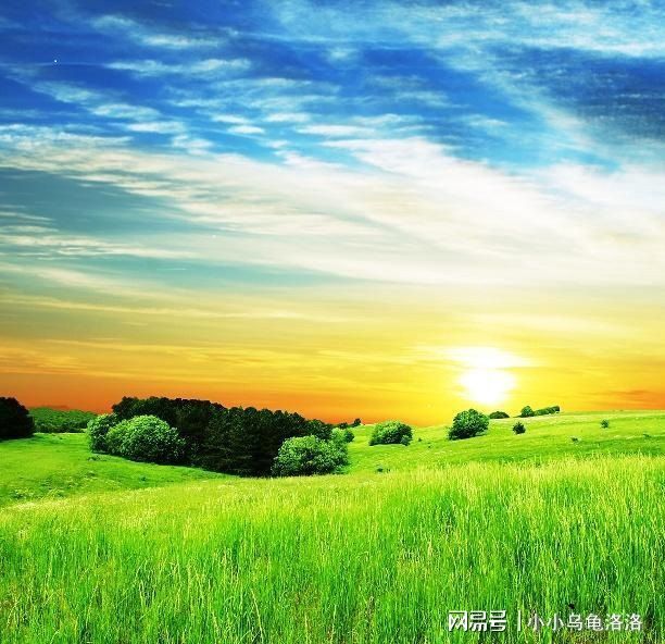 聊天记录吃瓜群