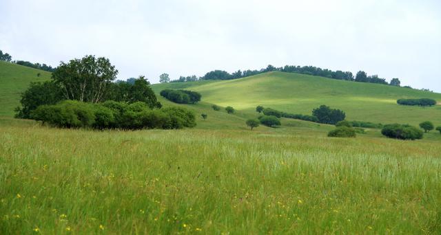 尤果网视频 都可能面临法律处罚