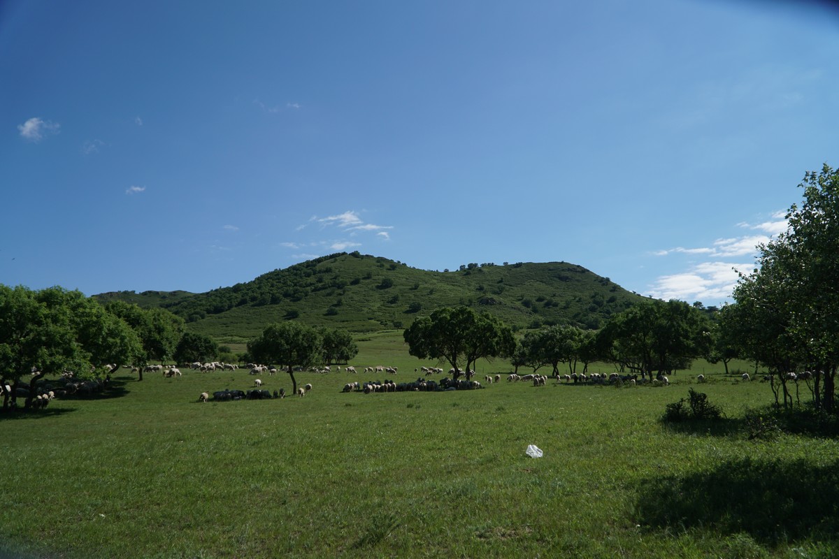 小蓝破解版无限金币