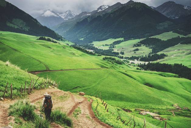 natalieflowers视频