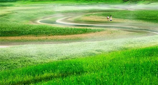 k6官方宅男第一导航