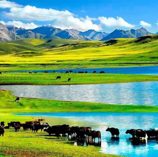 捷克街头第十一