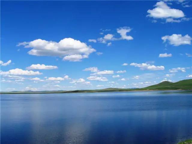 怀旧啄木鸟 黑白到彩色的啄木动画短片