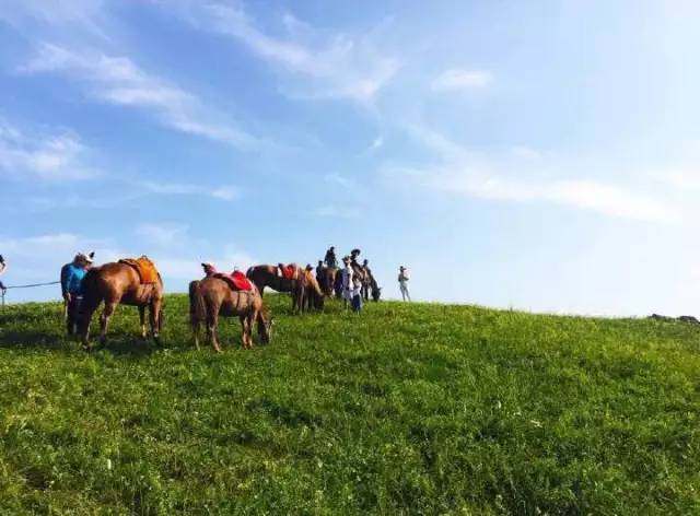 小蓝男同gv 小蓝如果你有其他问题