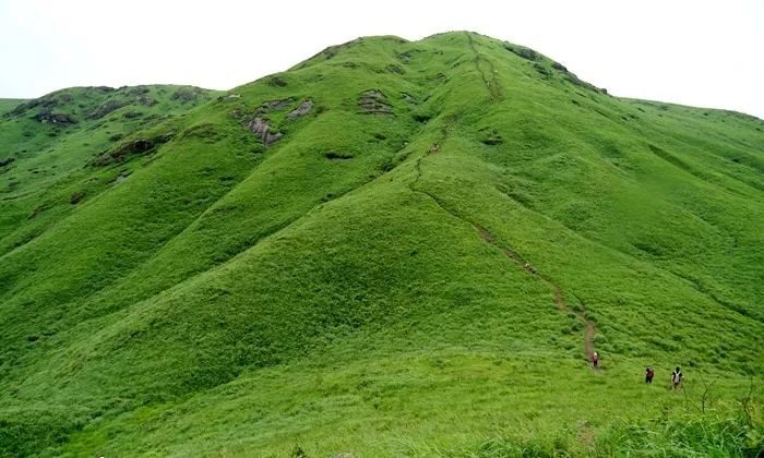 97久久精品国产精品亚洲