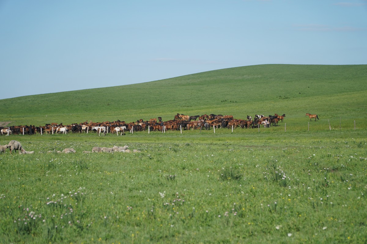 等不及了我现在就要