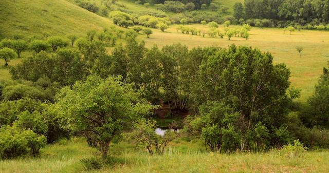 http：／／www.llw11.cc／