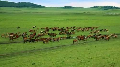 电锯人同人动漫 电锯特点：作画张力爆炸