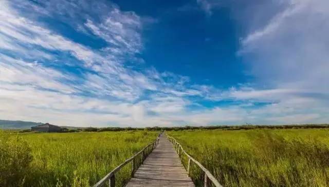 电锯人同人动漫 电锯特点：作画张力爆炸